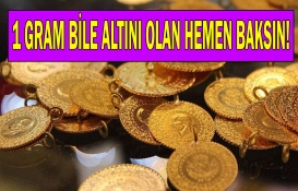 Altını olanlara son dakika müjdesi! Az önce resmen açıklandı, görenin nutku tutuldu! Hemen bir göz atın!