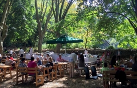 MESA Orman’da brunch etkinliği!