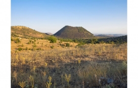 Manisa'da 17.8 milyon TL'ye satılık 4 gayrimenkul!