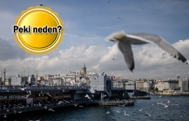 Ruslar kitleler halinde Türkiye’den gayrimenkul satın alıyor!