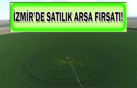 Belediyeden büyük fırsat! İzmir'de 6 arsa satacak!
