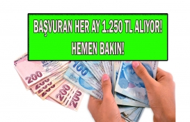 Aile ve Sosyal Hizmetler Bakanlığı'ndan şok! Her ay 1.250 TL ödenecek! Aralık ayı Aile Destek ödemeleri ne zaman? 