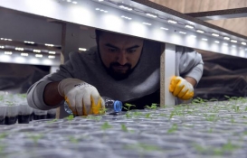 Evinin salonuna kendi serasını kurdu!