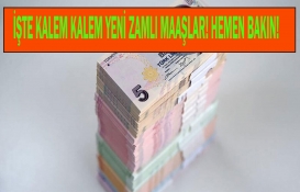 65 yaş aylığı, engelli aylığı, evde bakım parası ödemelerinde Eylül depremi! Hangi maaş kaç TL oldu?