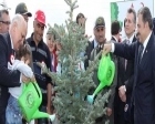Kızılay bağışçıları adına 1,5 milyon fidan dikildi!