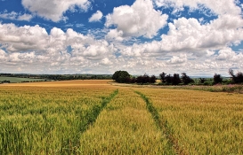 Araziye göre yatırım dönemi!