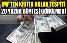 IMF'den dikkat çeken dolar tespiti: Yüzde 59'un altına düştü