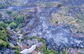 Hatay Büyükşehir'den 27.3 milyon TL'ye satılık gayrimenkul!