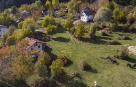 Bolu yaylalarındaki yıkım kavgası büyüyor! 