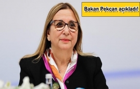 Kira, gelir kaybı ve ciro kaybı desteklerinde başvuru süresi uzatıldı!