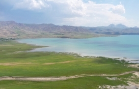 'Flamingo cenneti' Erçek Gölü kesin korunacak hassas alan ilan edildi!