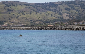 Gökçeada'da satılık arsa fırsatı! İhalesi 13 Aralık'ta!