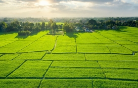 Kuraklık ve hastalıklara dayanan bitki üretimi Sivas'ta devam ediyor! İlk buraya ekildi!