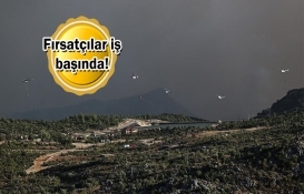 Yanan arazileri satışa çıkardılar!