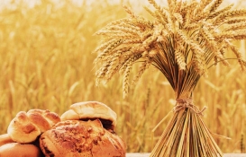 Tarımda korkunç haber! Apar topar bir araya gelip sayıyı aşağı çektiler, gıda krizi patladı! Ekmek de var