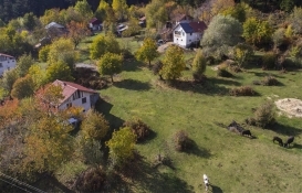 Bolu'daki 732 dekar mera arazisi işgalden kurtarıldı!