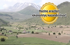 2,2 milyon metrekare hazine arazisi tarıma açıldı!