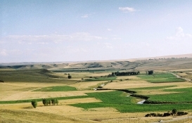 Denizli Baklan'da arazi kavgası: 1 ölü, 2 yaralı!