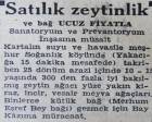 1943 yılında Kartal Soğanlık'ta 25 dönüm zeytinlik satılacakmış! 