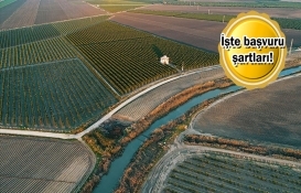 Milli Emlak'tan satılık ve kiralık araziler!
