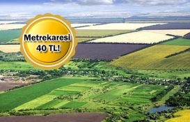 Tarlaya yatırım yapılır mı?