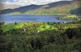 Buradan arazi alan lord ve lady oluyor! 