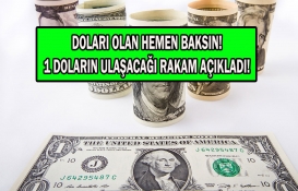 Dolar o tarihte tam bu kadar olacak! Rakamlar peş peşe açıklandı! 1 doları bile olan resmen buz kesti! 