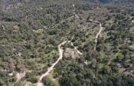 Bodrum'da Pedasa Antik Kenti'ndeki 170 dönümlük arazi 35 milyona satılıyor!