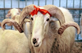 Yurt dışı ve yurt içi vekaletle kurban kesim bedelleri ne kadar?