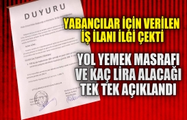 çay işçisi maaş sosyal haklar