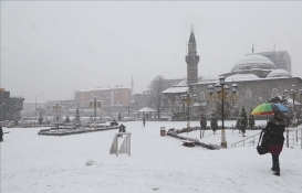 Erzurum Palandöken Belediyesi'nden 76 milyon TL'ye satılık 12 arsa!