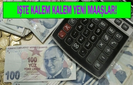 65 yaş aylığı, engelli aylığı, evde bakım parasında Ocak şoku! Yeni maaşlar kaç TL olacak? Bir bir hesaplandı! 