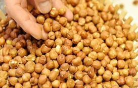 Fındık fiyatlarına zam geldi mi? Güncel fındık fiyatları ne kadar oldu? 3 Mayıs 2023 fındık fiyat listesi