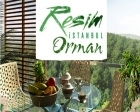 Resim İstanbul Orman, İstanbul'daki en doğal ortam!