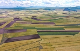 Gaziantep'te arazi kavgası: 8 yaralı! 