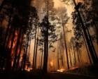 Kaliforniya Yosemite Ulusal Parkı'nda yangın çıktı!