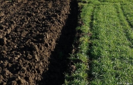 Almanya'da arsa kıtlığı! Arsalar 'altın' haline geldi!