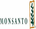Monsanto Mustafakemalpaşa'da ek tesis açtı!