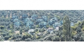 Burhaniye'de doğa katliamını gizlemek için villaları yeşile boyadılar!