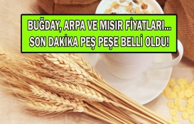 Buğday, arpa, mısır fiyatlarında kritik gelişme! Hangi borsada kaç lira oldu? Çiftçiler şimdi bu rakamlara bakın!
