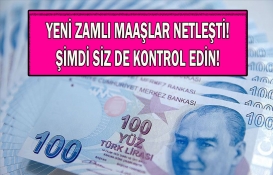 Binlerce kişinin maaşı peş peşe hesaplandı! 65 yaş aylığı, engelli aylığı, evde bakım parasına 2023 Ocak müjdesi! 