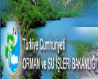 Orman ve Su İşleri Bakanlığı, 80 Orman Mühendisi alacak!