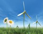 Rüzgar enerjisinde lisans iptalleri nereden çıktı?