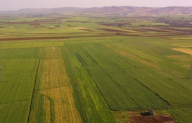 16 ilde 191 araziye düzenleme!