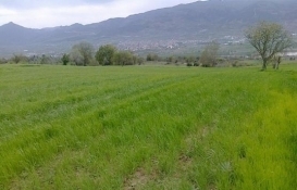 Arsanın devrinin sağlıklı olup olmadığı nasıl anlaşılır?