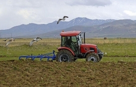 Hazine'ye ait arazilerde hasat heyecanı!