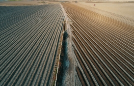 Çiftçilerin hesaplarına bugün 150 milyon TL yatıyor! Bakanlıktan yeni tarımsal destek ödemesi müjdesi! 