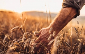 Çiftçiler dikkat! yüzde 50 hibe desteği sağlanıyor!