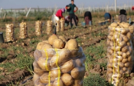  A101'de sebze-meyveye çılgın cuma indirimi! A101'de patates ne kadar? İşte 13 Mayıs 2022 fiyat listesi....