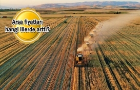 Kovid-19'la arsa fiyatları katlandı!